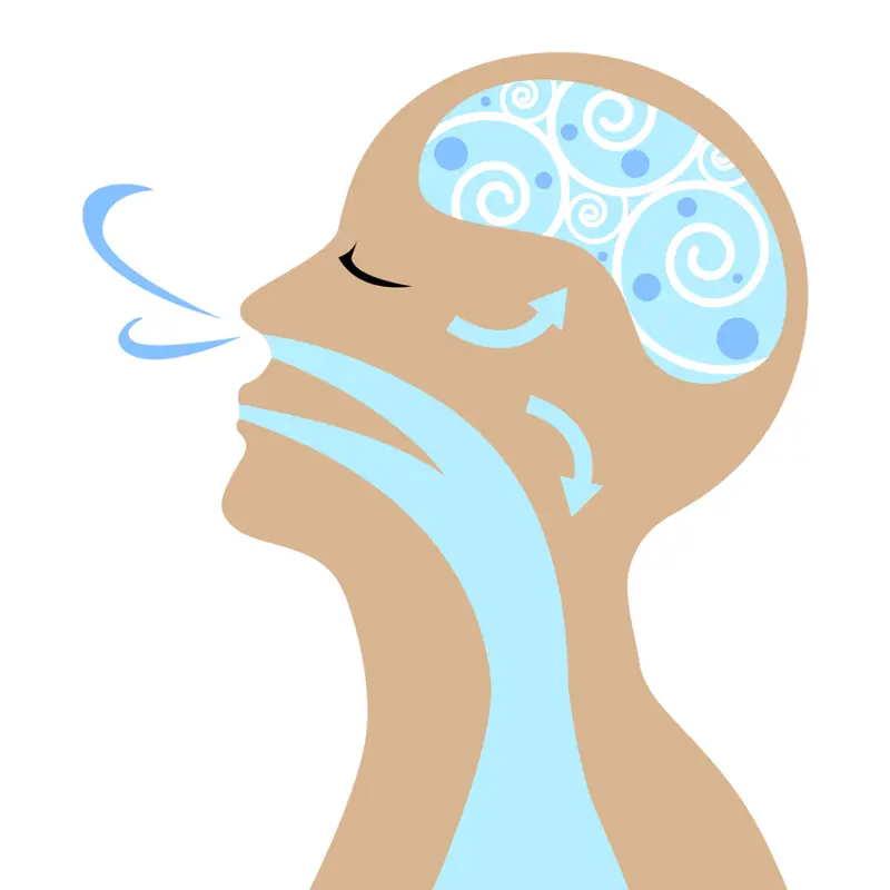 Ejercicios Respiratorios