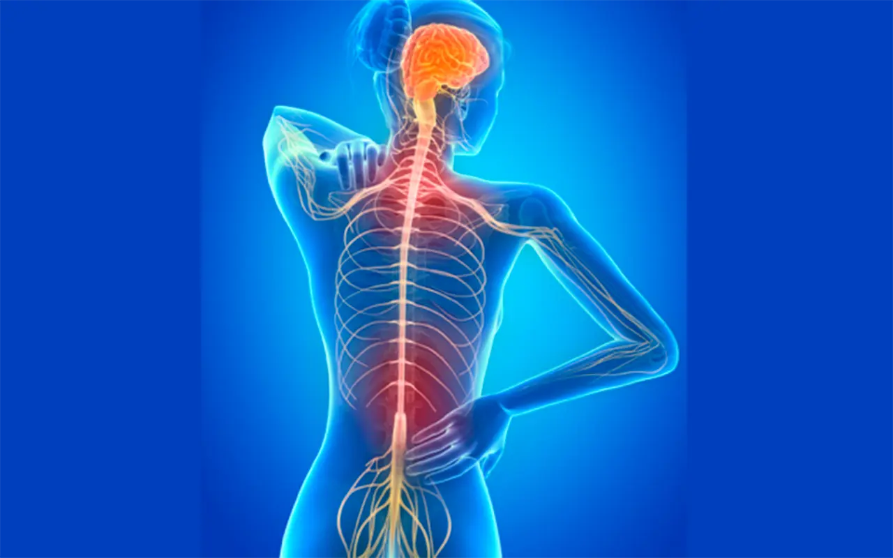 Problemas de Columna
